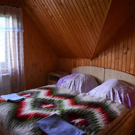 Guest house Oskolok Dovbusha *